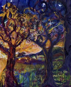 startrees1005    